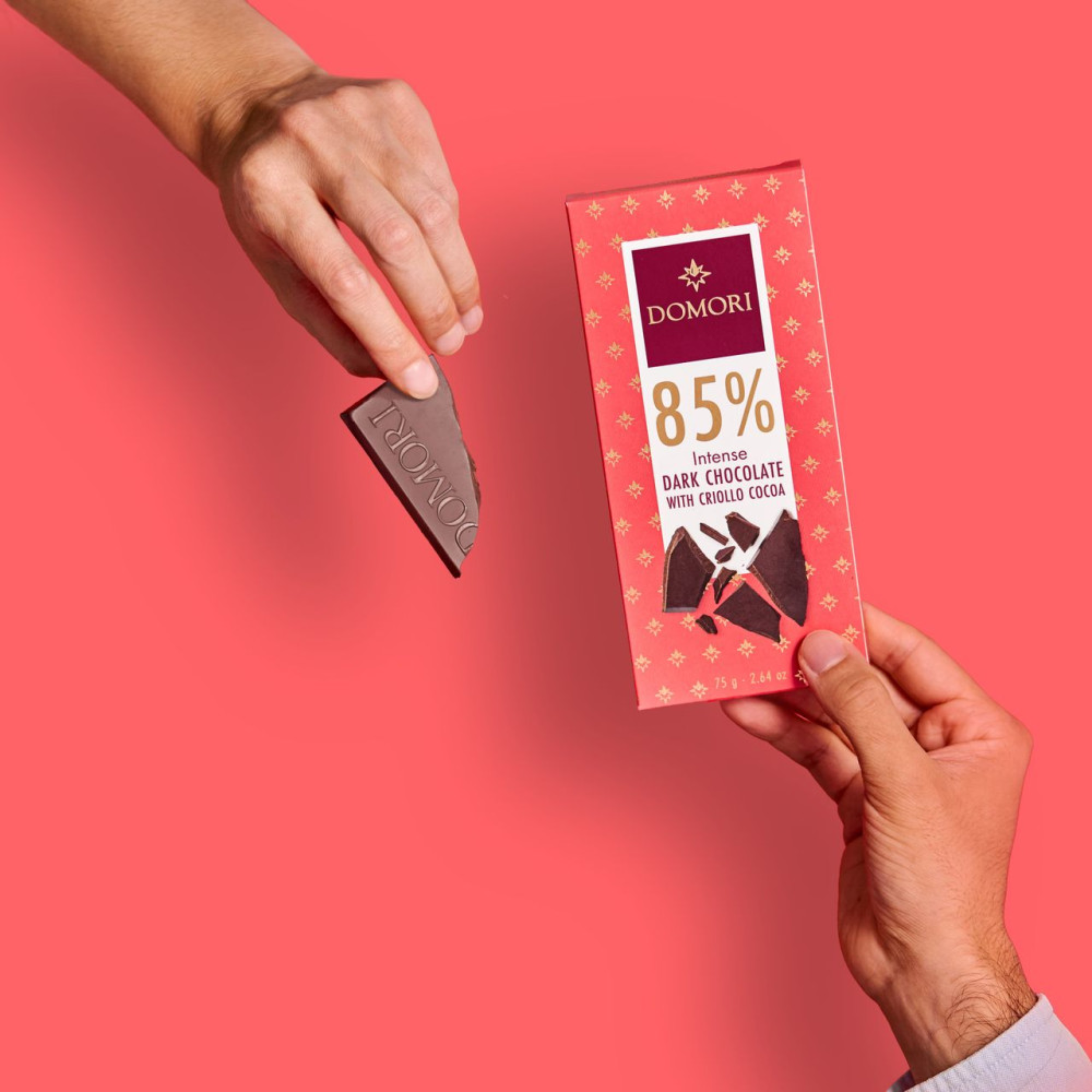 75 g Tavoletta Cioccolato fondente Criollo 85%