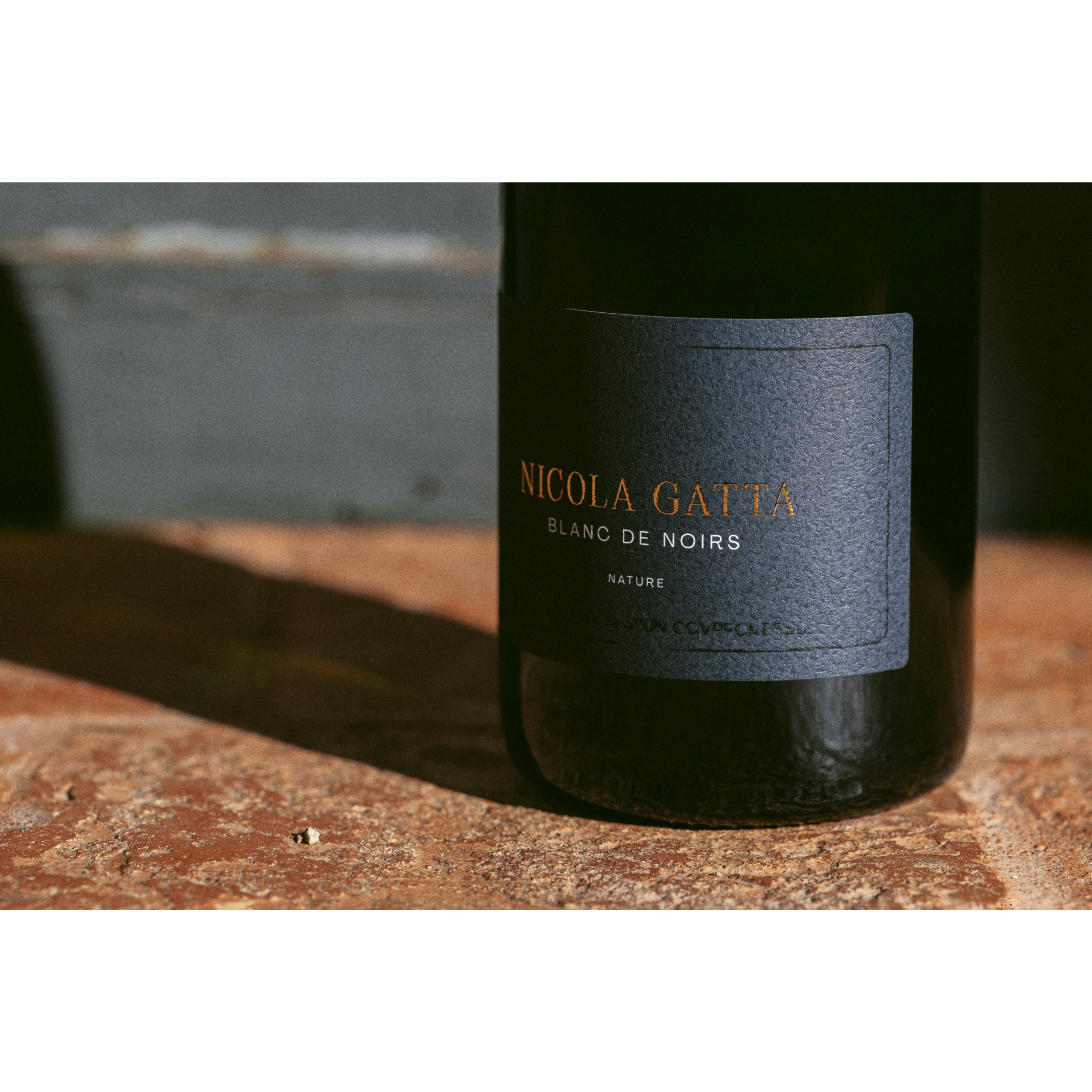 Vino Spumante Nicola Gatta Blanc De Noirs Nature Brut 750 ml 12% vol - pinot nero