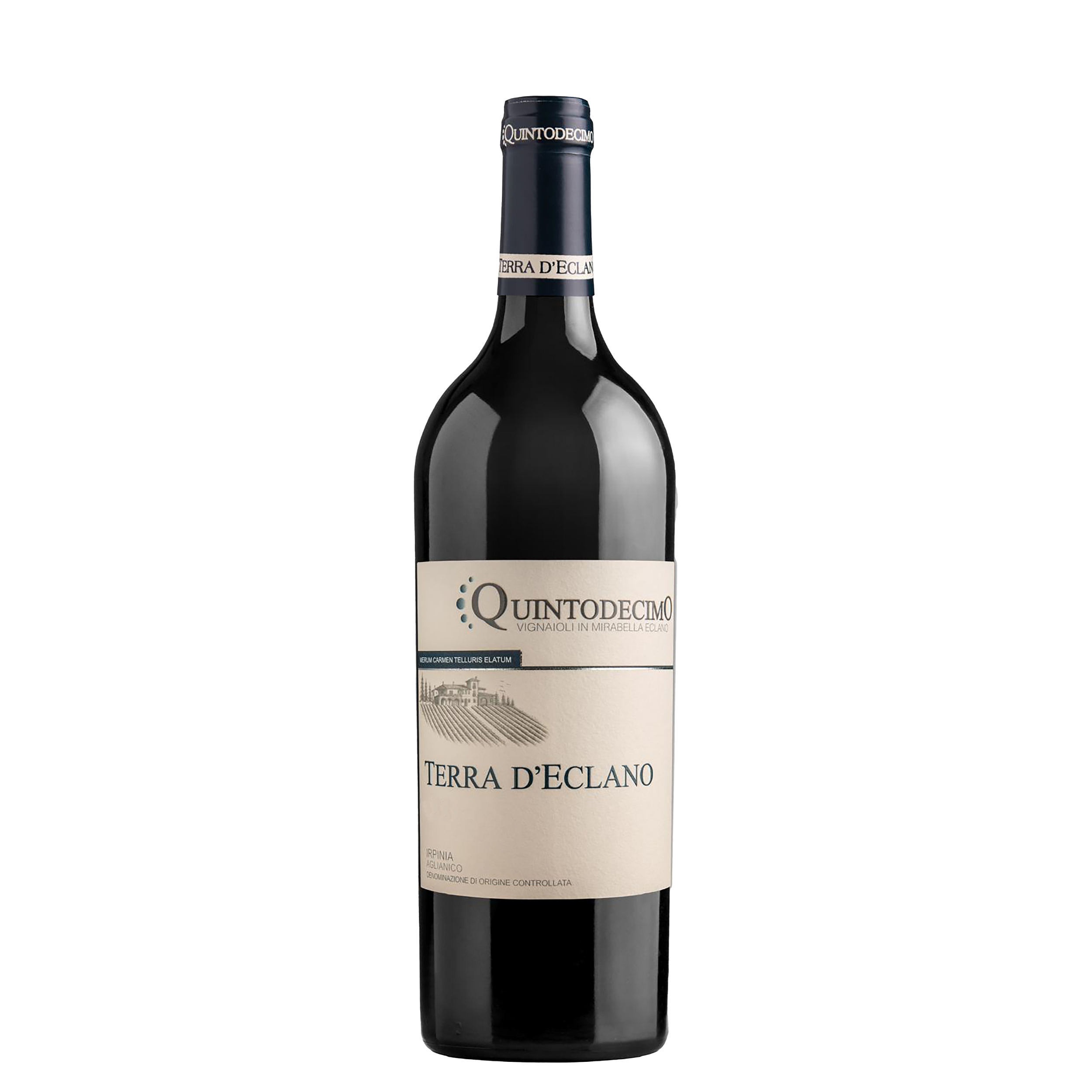 Vino Rosso Quintodecimo Terra D'eclano 2022 750 ml 14% - Irpina Aglianico 100%