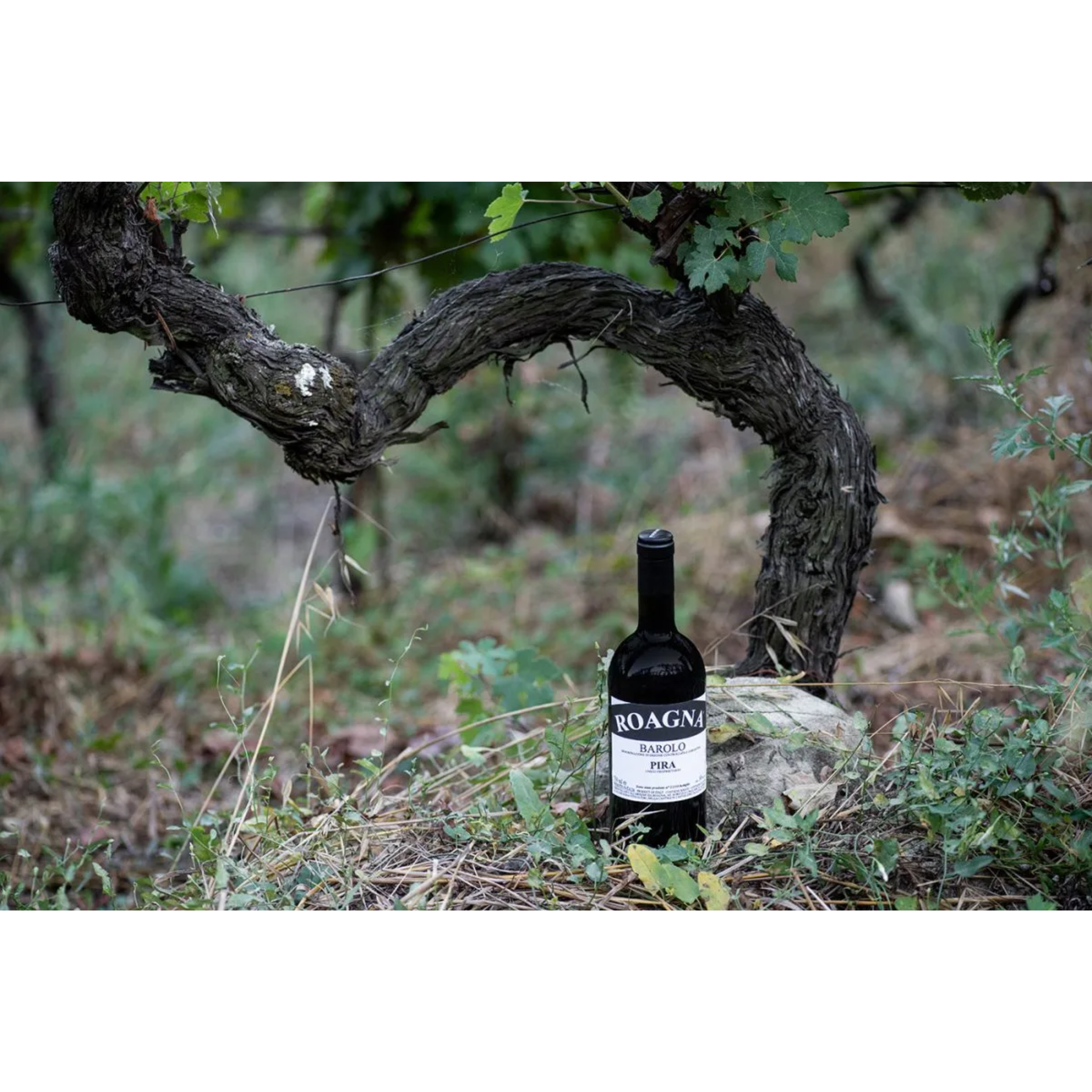 Vino rosso Roagna Barolo Pira 2018 750 ml 14% vol