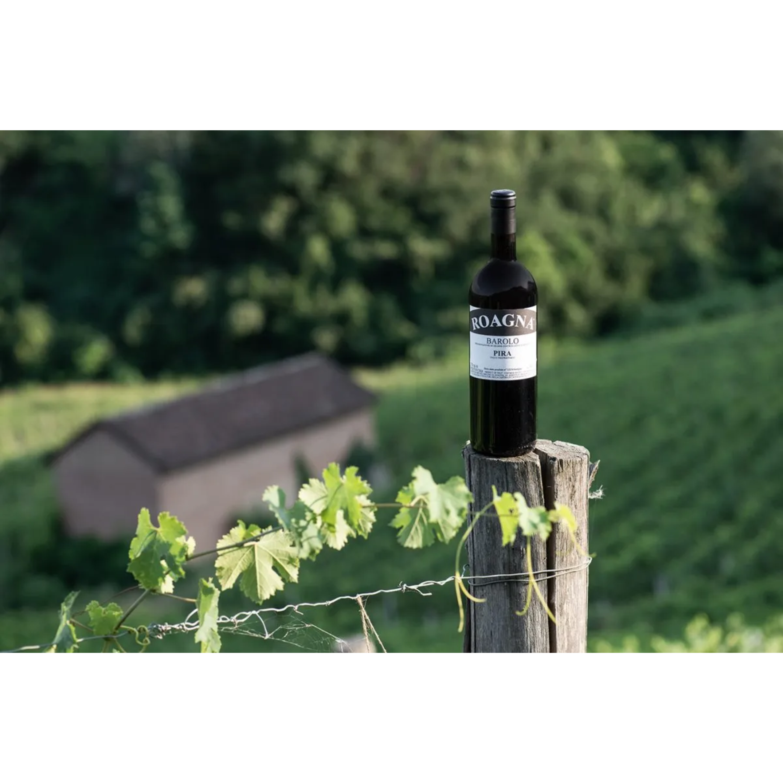 Vino rosso Roagna Barolo Pira 2018 750 ml 14% vol
