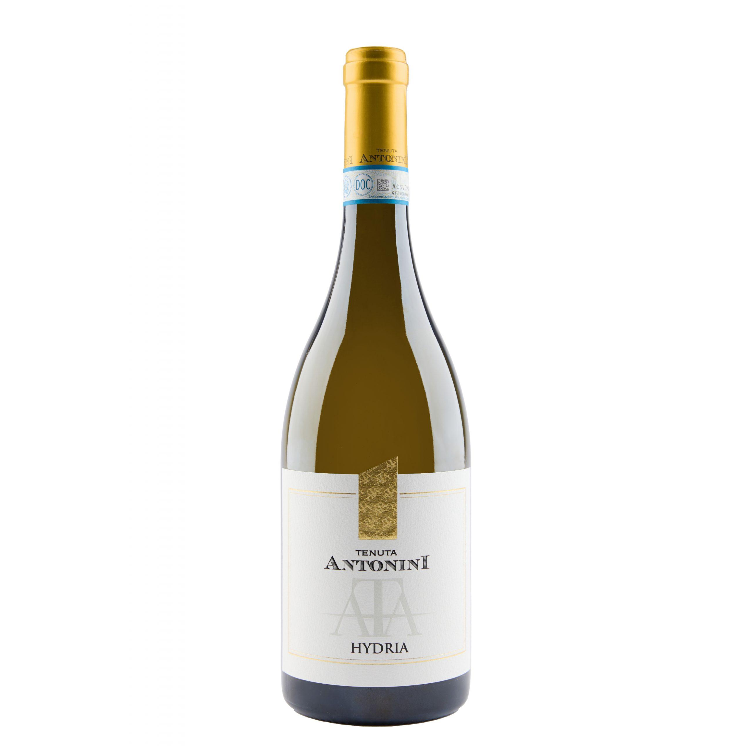 Vino bianco Hydria 2023 Tenuta Antonini 750 ml 13%vol - Abruzzo Pecorino D.O.C. 100%