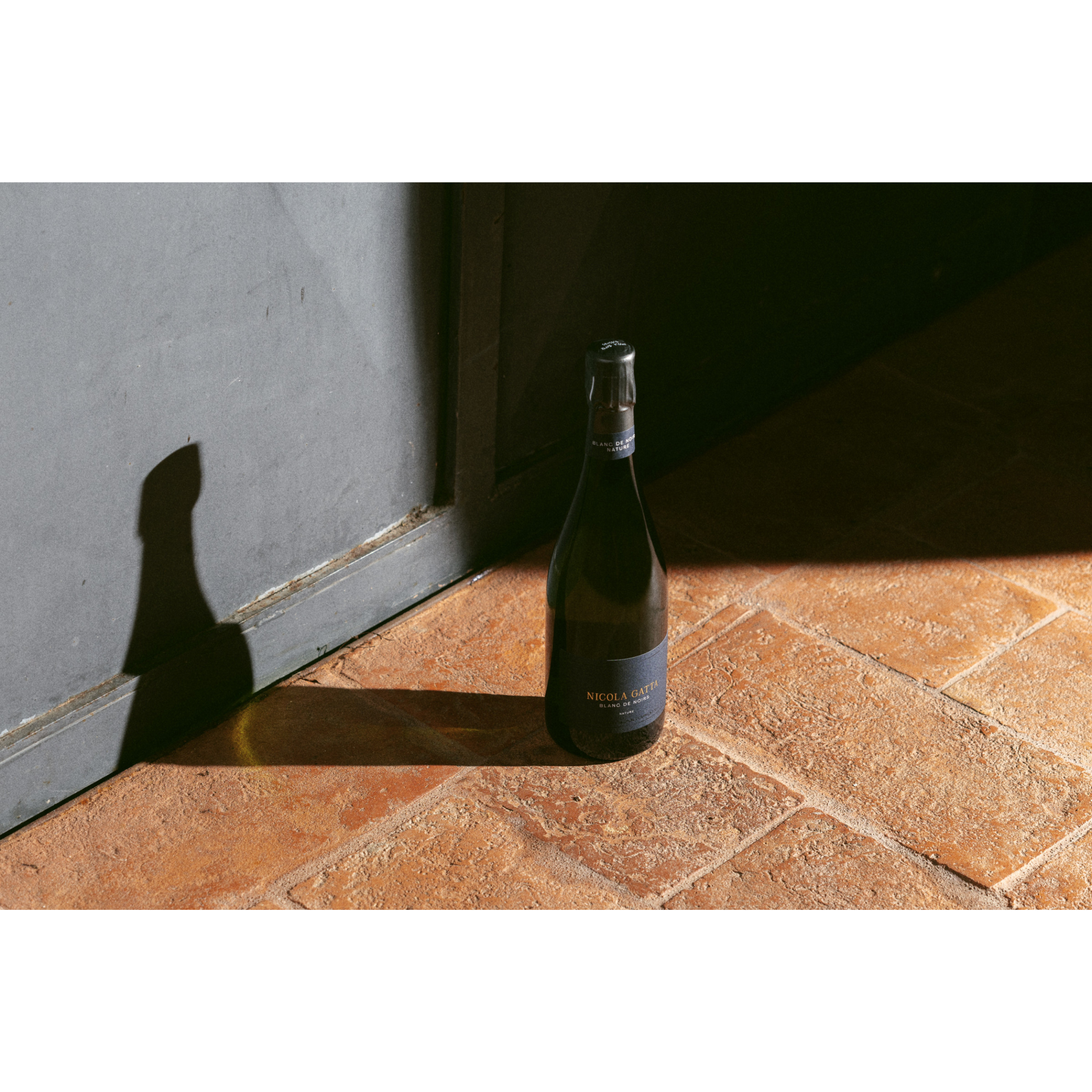 Vino Spumante Nicola Gatta Blanc De Noirs Nature Brut 750 ml 12% vol - pinot nero