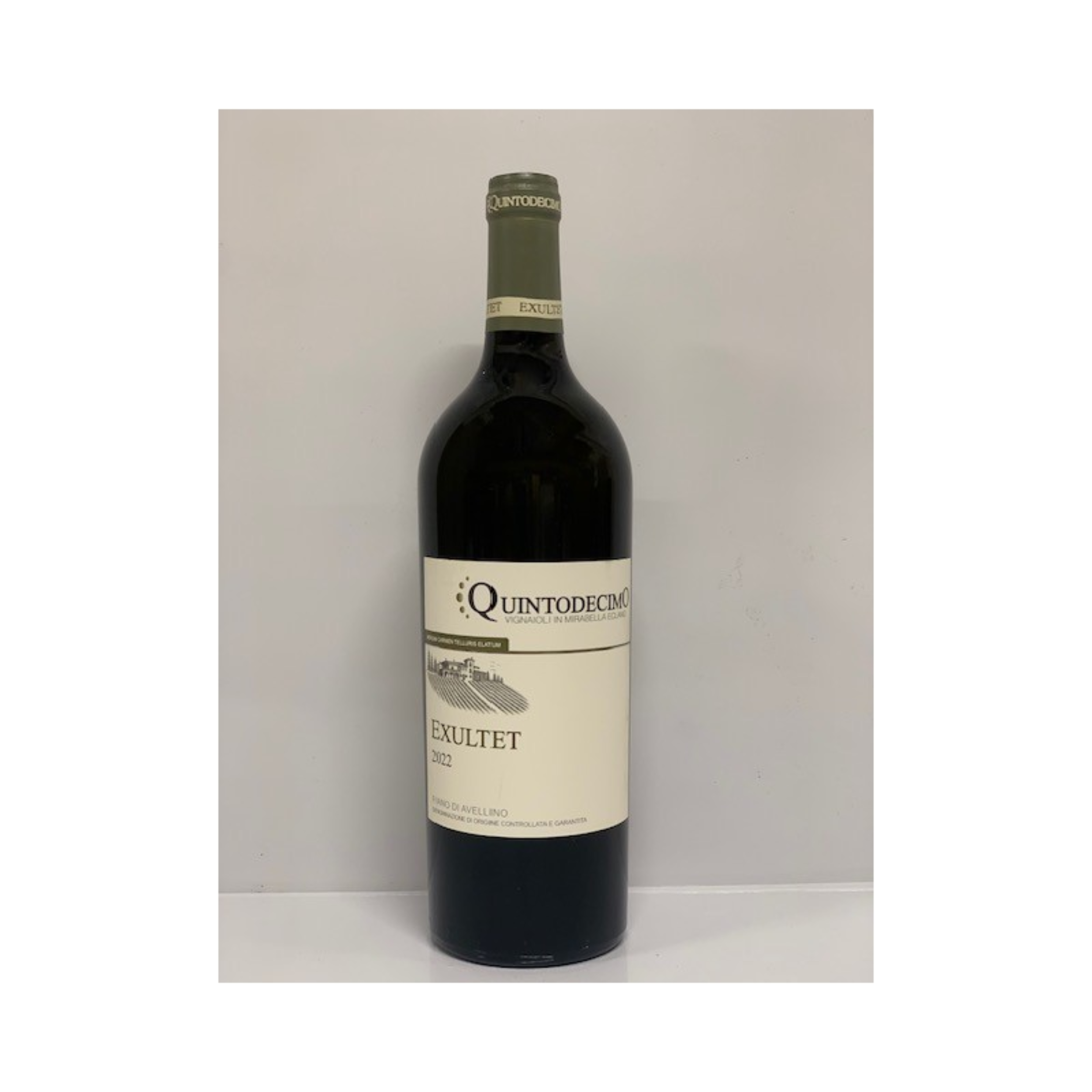 Vino Bianco Quintodecimo Exultet 2022 - Fiano di avellino
